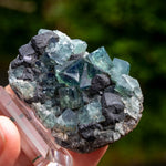 Fluoriet, Northern Light Pocket, Weardale, UK #2