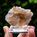Fluoriet, The Bull Vein, Weardale, UK