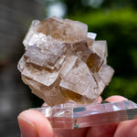 Fluoriet, The Bull Vein, Weardale, UK