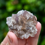 Fluoriet, Diana Maria Mine, Weardale, UK