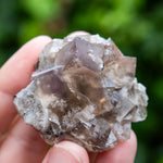 Fluoriet, Diana Maria Mine, Weardale, UK