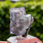fluoriet yindu china