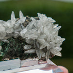 calciet Brazilië