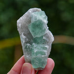 suiker fluoriet china