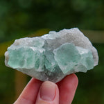 suiker fluoriet china