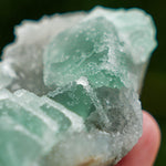 suiker fluoriet china