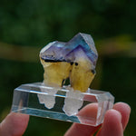 fluorite minerva No.1 illinois usa