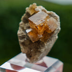 fluoriet clay center ohio