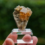 fluoriet clay center ohio