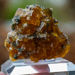 fluorite frohnau germany