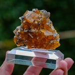 fluorite frohnau germany