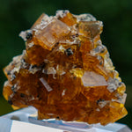 fluorite frohnau germany