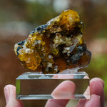 fluorite frohnau germany