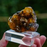 fluorite frohnau germany