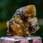 fluorite frohnau germany