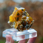 fluorite frohnau germany