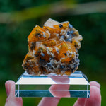 fluorite frohnau germany