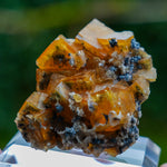 fluorite frohnau germany