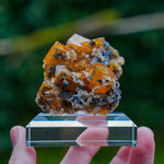 fluorite frohnau germany
