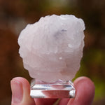 Mangano calciet uit Yaogangxian