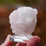 Mangano calciet uit Yaogangxian