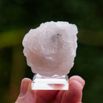 Mangano calciet uit Yaogangxian