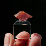 Rhodochrosiet Mont Saint Hilaire