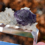 fluoriet shangbao china