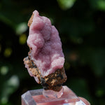 Rhodochrosiet uit Zuid-Afrika #1