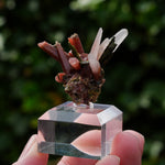 Epidoot Kwarts | Peru mineraal | Minerals by Mike & Isis