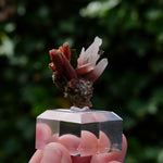 Epidoot Kwarts | Peru mineraal | Minerals by Mike & Isis