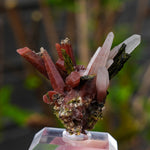 Epidoot Kwarts | Peru mineraal | Minerals by Mike & Isis