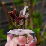 Epidoot Kwarts | Peru mineraal | Minerals by Mike & Isis