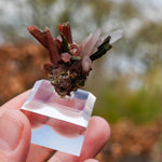 Epidoot Kwarts | Peru mineraal | Minerals by Mike & Isis