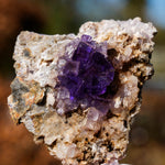 Fluoriet uit Berbes #9
