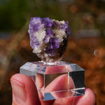 Fluoriet Berbes | Berbes Fluoriet | Minerals by Mike & Isis