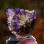 Fluoriet Berbes | Berbes Fluoriet | Minerals by Mike & Isis