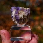 Fluoriet Berbes | Berbes Fluoriet | Minerals by Mike & Isis