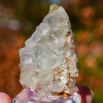 Fluoriet uit Collada #2