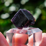 Fluoriet uit Weisseck, Gipfelkluft #1
