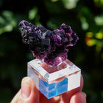Fluoriet uit Weisseck, Gipfelkluft #3