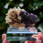 Fluoriet Weisseck | Gipfelkluft Fluoriet | Minerals by Mike & Isis