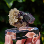 Fluoriet Weisseck | Gipfelkluft Fluoriet | Minerals by Mike & Isis