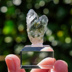 Chloriet in kwarts | Alpe d'Huez mineraal | Minerals by Mike & Isis