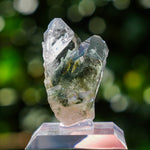 Chloriet in kwarts | Alpe d'Huez mineraal | Minerals by Mike & Isis