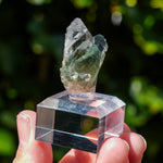 Chloriet in kwarts | Alpe d'Huez mineraal | Minerals by Mike & Isis