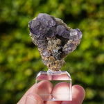 Tanzaniet fluoriet, Uit Quanzhou #4