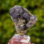 Tanzaniet fluoriet, Uit Quanzhou #4