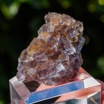 Fluoriet La Barre | Driekleur fluoriet | Minerals by Mike & Isis