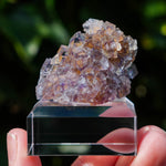 Fluoriet La Barre | Driekleur fluoriet | Minerals by Mike & Isis